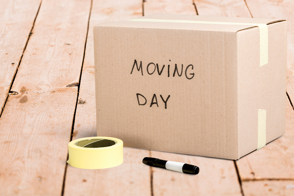 Move It Like a Pro: Tools That Make Moving Easier