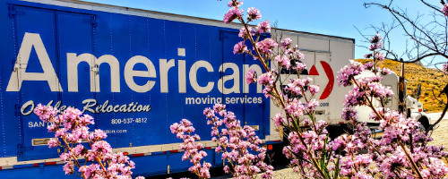 Local relocation Oakley services